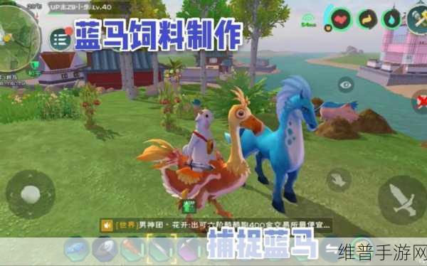 创造与魔法深度攻略，揭秘蓝马饲料保底数量及更多游戏细节