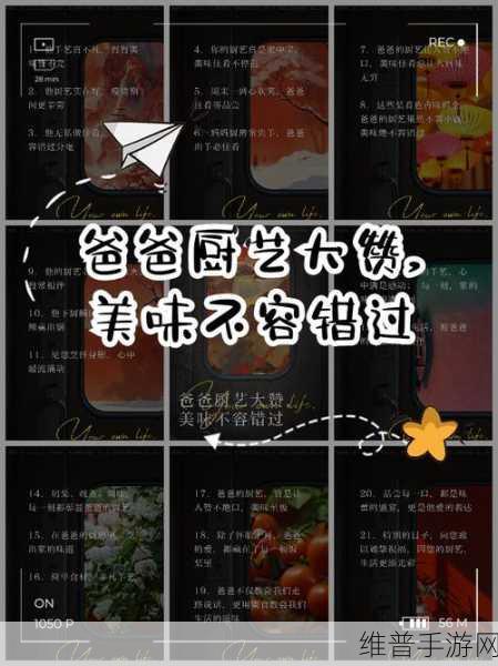 Cooking Mama 中用美味料理温暖爸爸的心