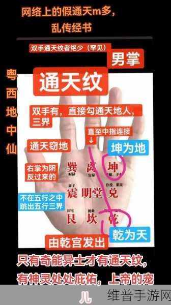 天命奇御，秘纹指环全解析