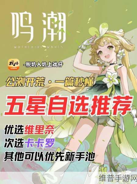 鸣潮自选五星角色的最佳抉择与搭配攻略