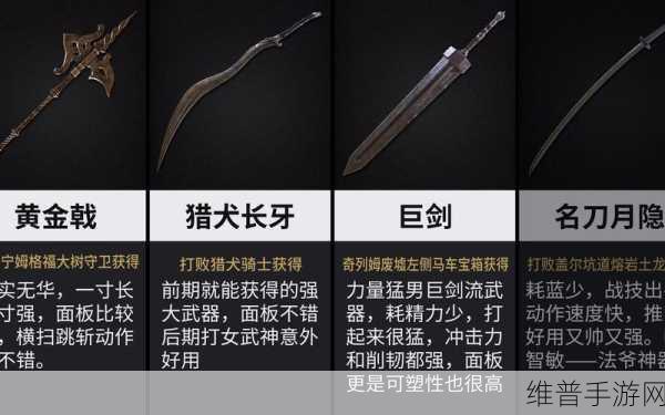 艾尔登法环主流出血武器深度解析