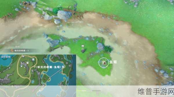 原神亮闪闪的贝壳收集全攻略，解锁隐藏成就的秘诀