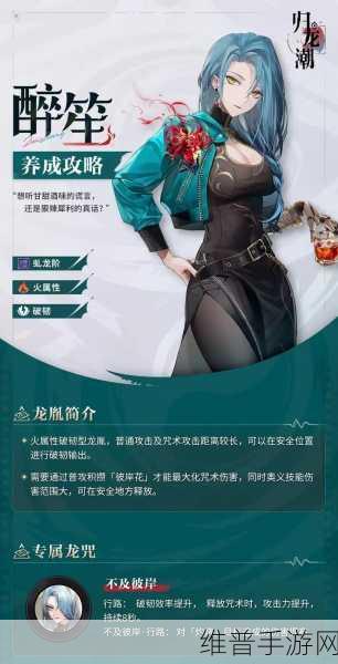 归龙潮手游攻略，全面解析寻找乐器任务