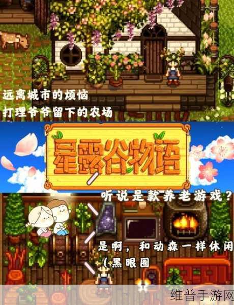 星露谷物语，出轨事件的影响与应对策略