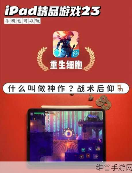 重生细胞墓地的生态深度解析，一场揭示细胞再生微观世界的奇妙之旅