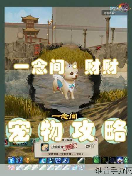 剑网3宠物奇遇一念间全攻略，如何获得长安汪财财