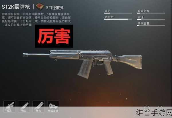 暗区突围S12K 霰弹枪改装指南，制霸战场的秘诀