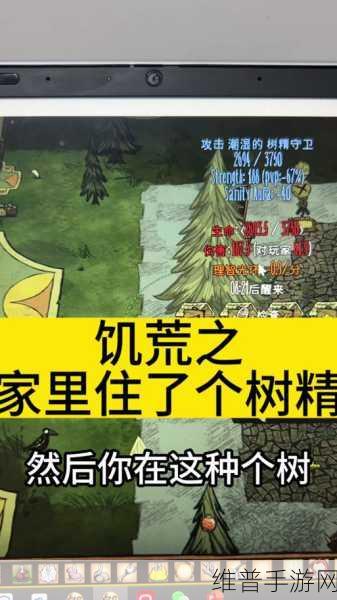 饥荒，海难椰树精仇恨消除全攻略