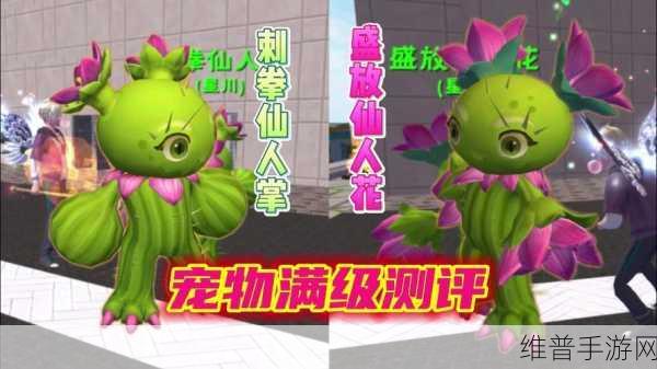 创造与魔法，盛放仙人花获取与技能全解析