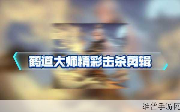英魂之刃鹤道大师技能全解析与实战运用