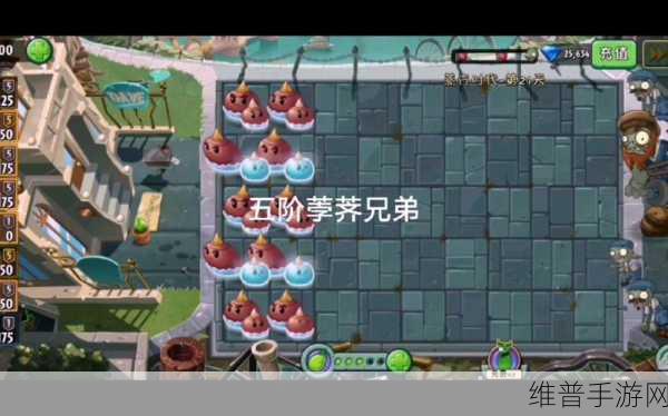 植物大战僵尸2荸荠兄弟深度攻略解析