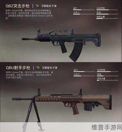 和平精英，VSS 射手步枪实战全解析