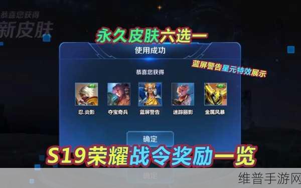 王者荣耀奖励选择指南，网友热议，哪个奖励性价比最高？深度评价解析