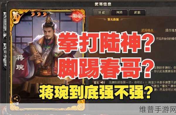 潮爆三国，过关斩将高效队伍搭配与资源管理策略深度解析
