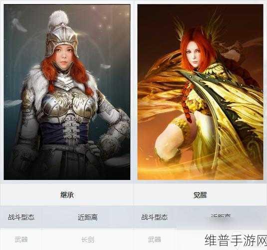 黑色沙漠手游攻略，揭秘后期最强职业