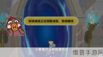 蛋仔派对探险指南，揭秘如何进入神秘小黑屋