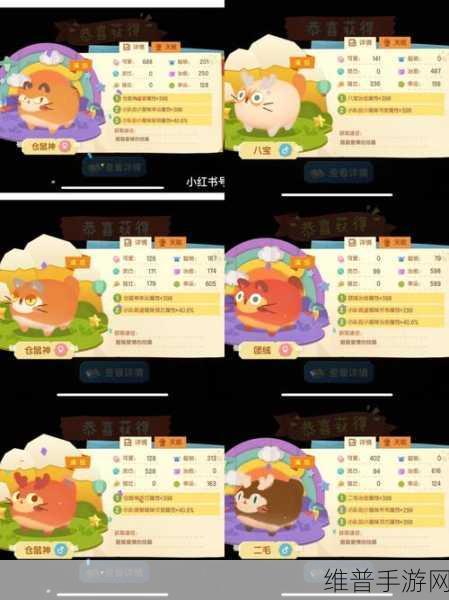 猫咪公寓 2 里美谈心的最优选择策略