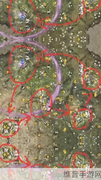 永劫无间手游森罗谷落地搜点全解析