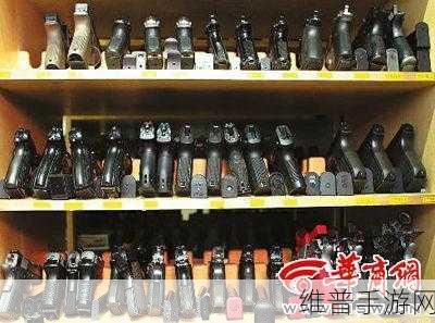失落的星球2枪械道具深度解析与实战攻略