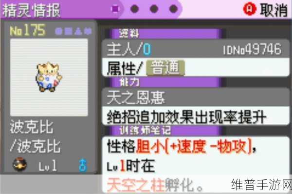 口袋妖怪漆黑的魔影五，解锁自然之力的终极攻略