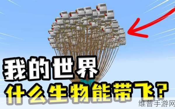 我的世界手游鹦鹉驯服全攻略,成为你的忠实伙伴