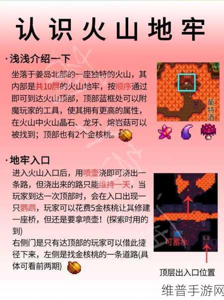 星露谷物语，解锁姜岛全攻略，开启你的冒险之旅