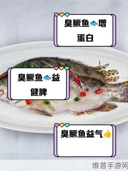 食物语新揭秘,第五章解锁臭鳜鱼的独家获得方法与新鲜攻略