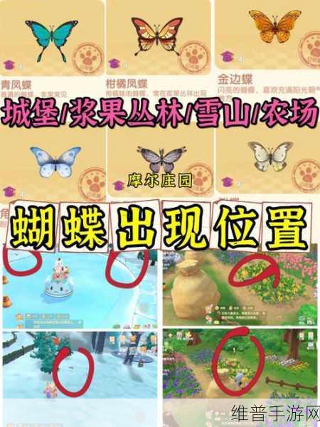摩尔庄园小游戏全面攻略，打造你的梦幻庄园