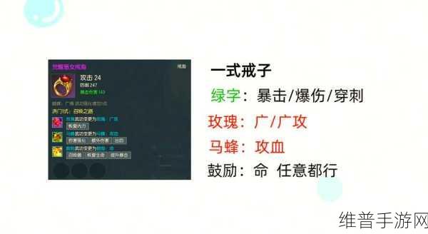 剑灵玩家必备，选择与使用优质服务器的全面策略指南