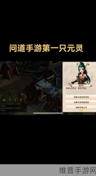 问道手游开服时间全解析 助力玩家畅玩之旅