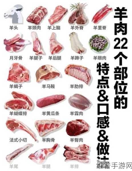 我的世界生羊肉食用全攻略