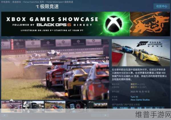 普利司通x极限竞速，Motorsport携手共创，开启极速盛宴的终极竞技探索