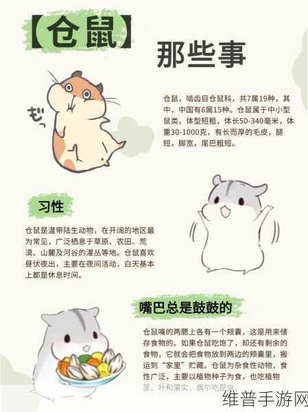剑与远征 2 启程，折纸仓鼠用途大揭秘