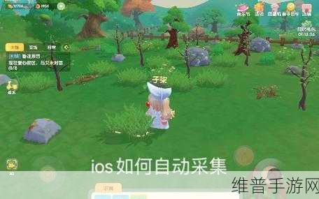 摩尔庄园手游攻略，伐木林怎么去及进伐木林砍树位置详解