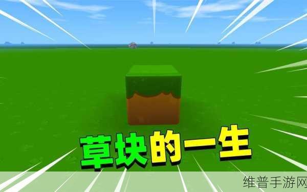 迷你世界真的是抄的吗，一场关于原创与借鉴的深入探讨