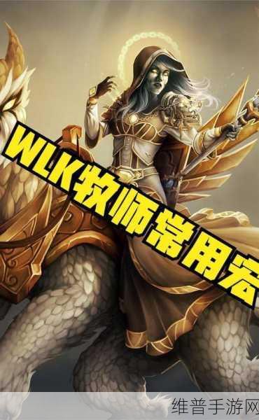 越来越黑暗的世界，深入解析手游中的牧师职业
