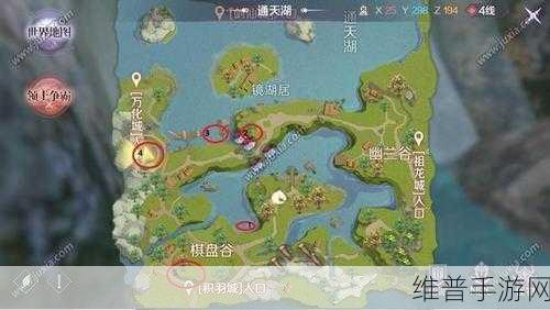 诺亚之心手游深度攻略，解锁湖灵奇遇任务的全面指南