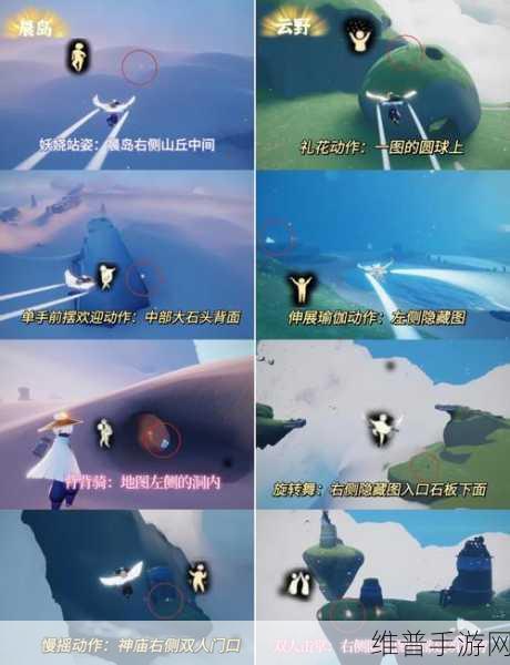 光遇探索指南，揭秘雨林散落的星光位置全解析