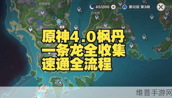 原神雪猪王现身秘境探索，速通国王刺客成就攻略