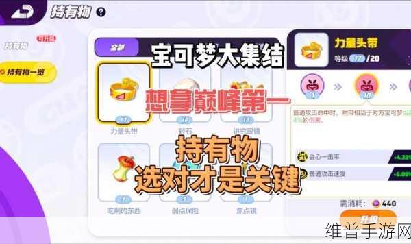 宝可梦大集结道具搭配秘籍，制霸战场的关键