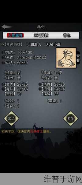 放置江湖攻速最快轻功全解析,助你驰骋江湖,快意恩仇