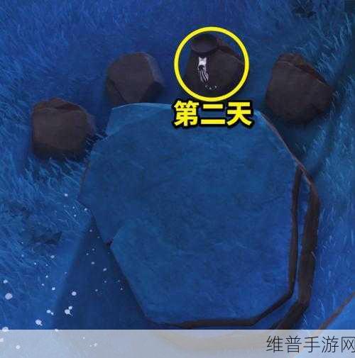 原神喂猫成就四天详细攻略，与猫咪的亲密互动之旅