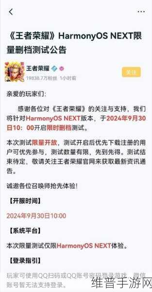 王者荣耀前瞻版深度解析，揭秘前瞻版与正式服的区别