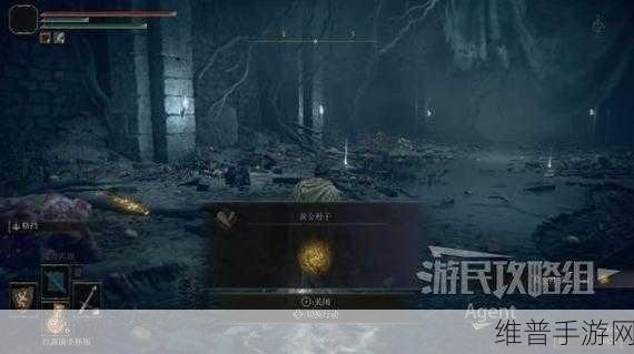艾尔登法环深度攻略，史东薇尔城进入路线详解