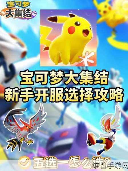 宝可梦大集结深度攻略,坦克型宝可梦强力推荐
