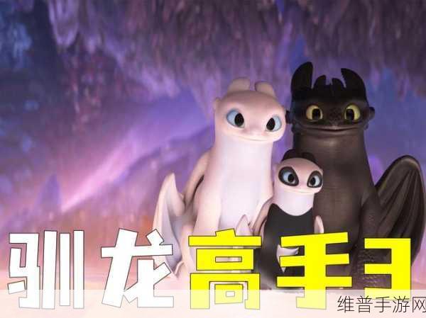 驯龙高手手游，肉球技能全解析与致胜攻略