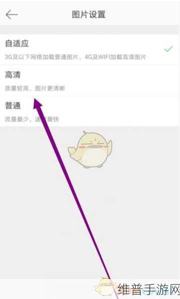 手游玩家必看,如何高效管理微博浏览记录,保护个人隐私