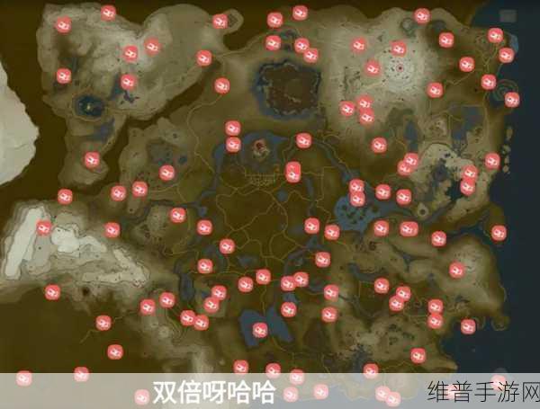 塞尔达传说王国之泪米多娜的王冠寻觅之旅，详尽攻略与背景解析