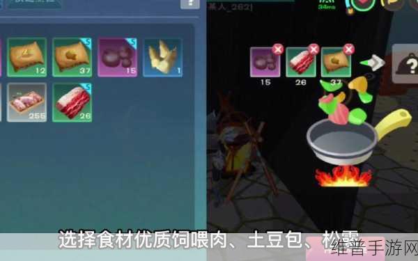 创造与魔法深度攻略，创魔棘甲海龟饲料制作详解