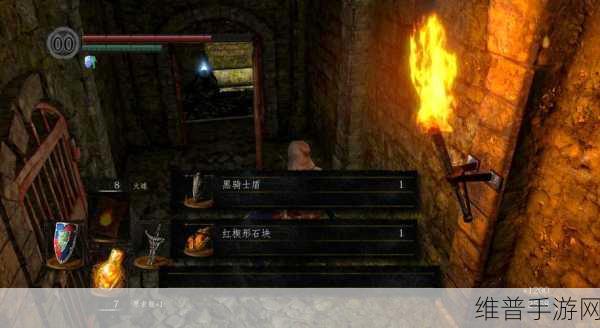 黑暗之魂重制版，飞龙之谷通关秘籍